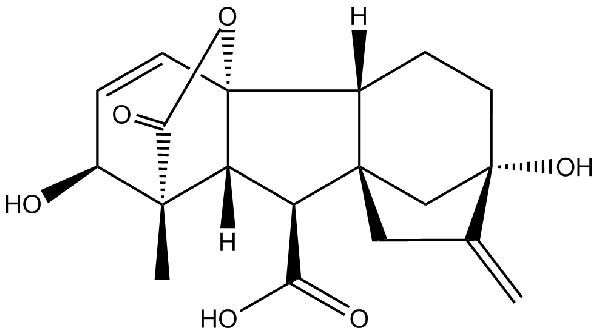 赤霉素GIBBERELLIC ACID，居然有這么神奇？